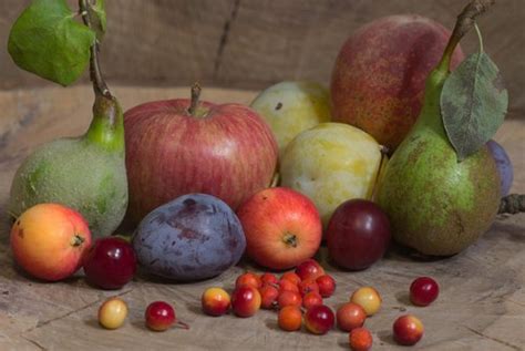 Obstplantage Lienert, Selbsternte - Äpfel, Birnen, Pflaumen, Pfirsiche, Nektarinen etc