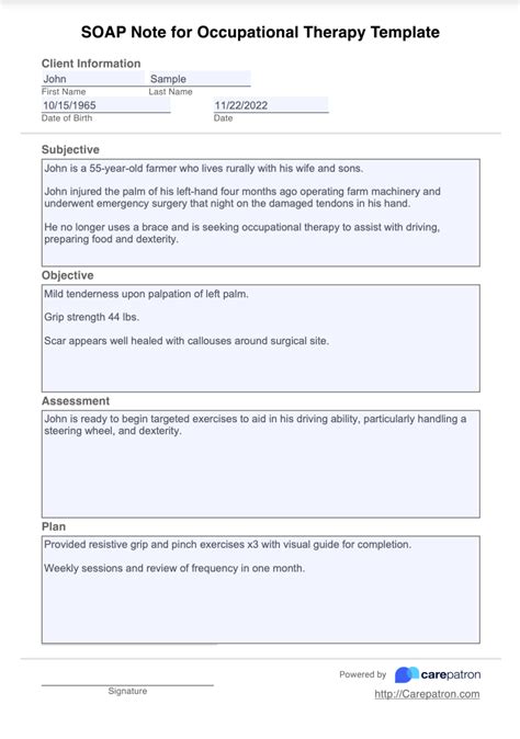 Occupational Therapy Soap Note Template