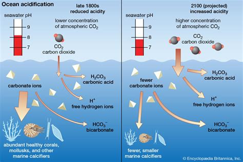 Ocean Acidification Chart