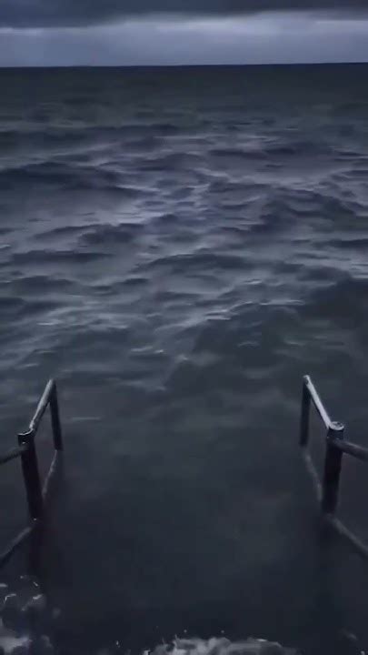 Ocean Meme Template