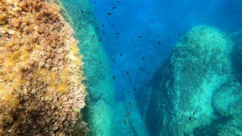 OceanData à Éguilles