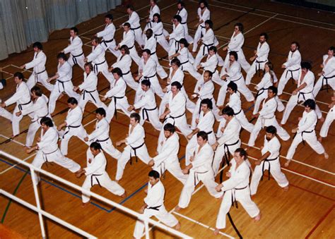 Okinawan Karate Do & Sports Centre
