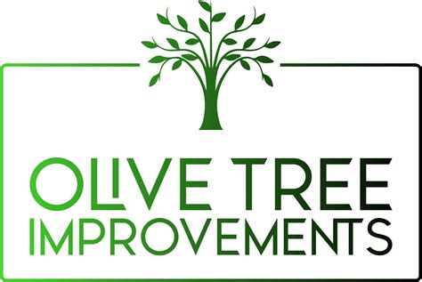 Olive Tree Improvements