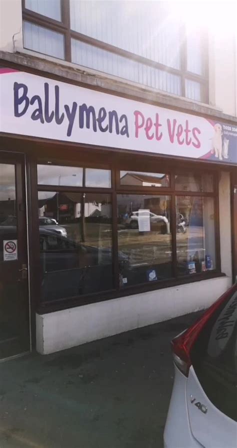 Oliver's Ballymena Pet service