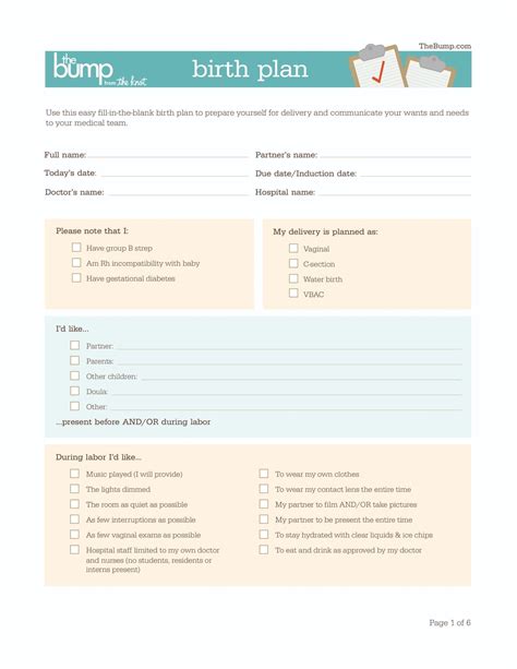 One-Page-Birth-Plan-Template
