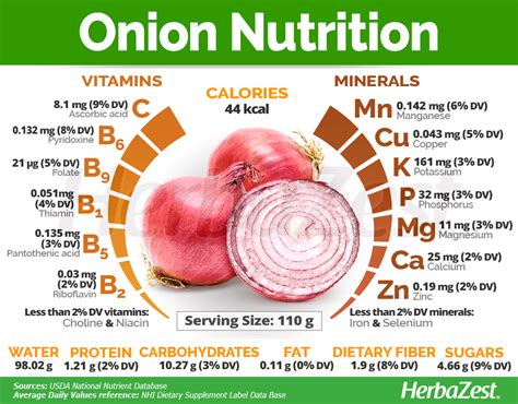 Onion Nutrition Chart
