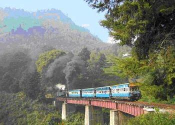 Ooty Heaven Tours and Travels