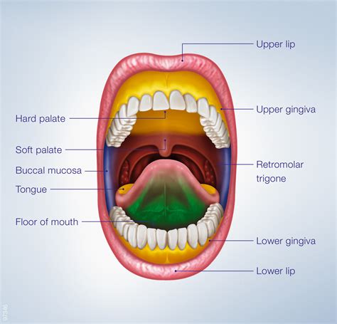 Oral & dental clinic
