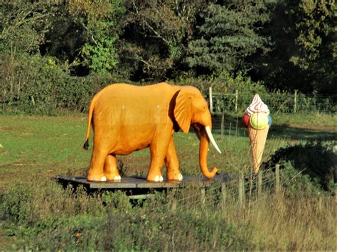 Orange Elephant statue