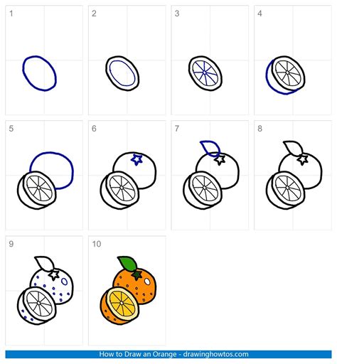 Oranges Drawing