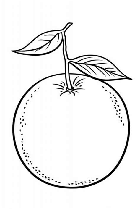 Oranges Printable