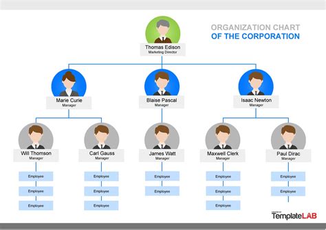 Organization Chart Template
