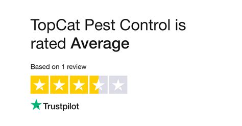 Orpington Pest Control - TopCat Pest Control