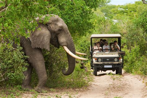 Out of Africa Travel & Golf Ltd