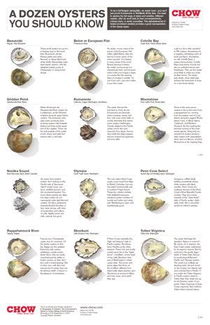 Oyster Types And Flavors Chart