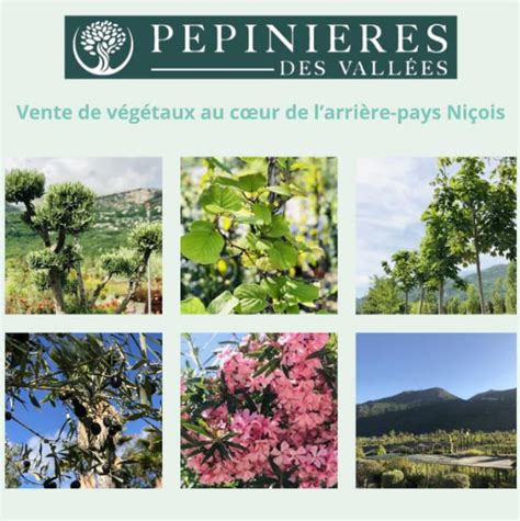 Pépinières Pieracci à Saint-Martin-du-Var