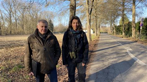 PASCAL SANICHAUFFE à Emmerin