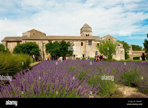 PAUL à Saint-Rémy-de-Provence