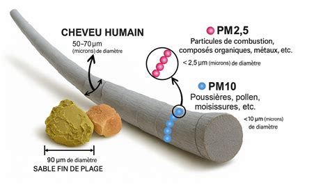 PM2 à Pau