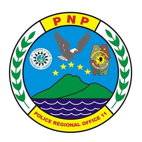 Region 11 Logo