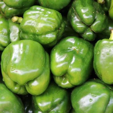 POIVRON VERT à Nice