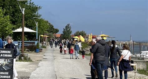 PROBASSIN à Gujan-Mestras