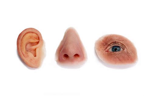 PROTHESE FACIALE à Castillon-du-Gard