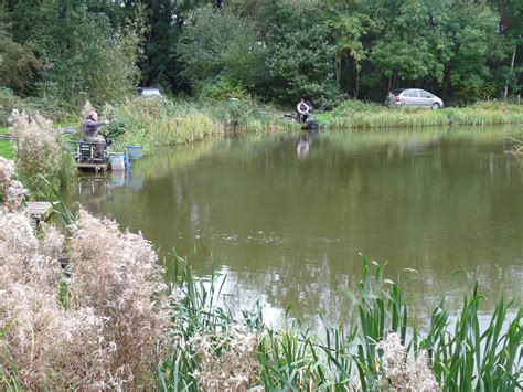 Packington Trout Fishery