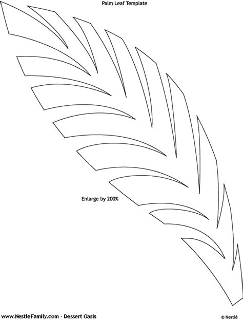 Palm Tree Leaves Template