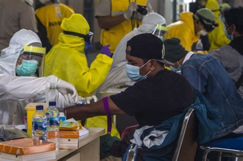 Pandemi Di Indonesia