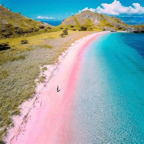 Pantai Pink