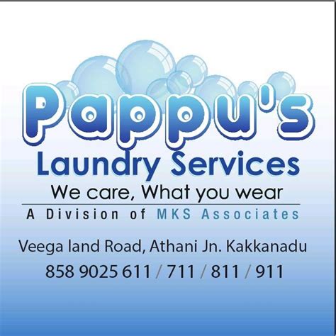 Pappu Laundry Services