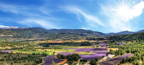 Paradis de Provence à Le Pin
