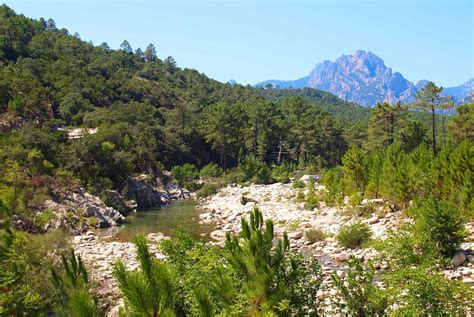 Parc à Propriano