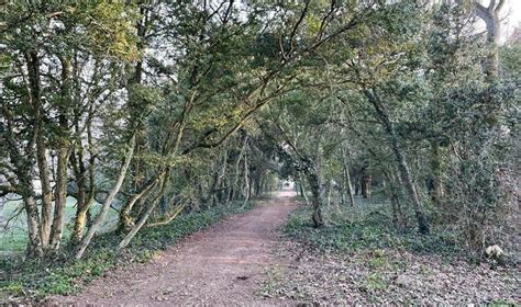 Parc Courjaret-Raimbault à Louresse-Rochemenier
