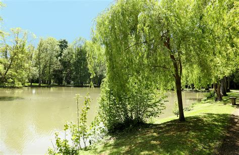 Parc Macquer à Gressy