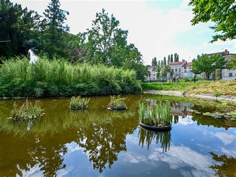 Parc Olry à Nancy