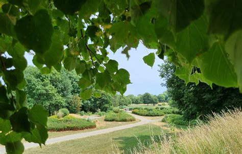 Parc de Essert à Essert