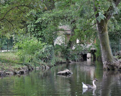 Parc de la Tannerie à Gradignan
