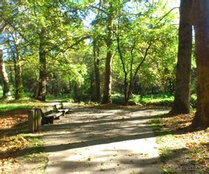 Parc du Mas-Rome à Limoges