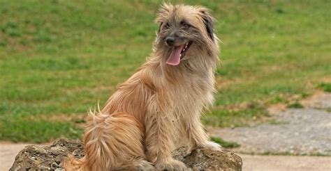 Parking à Labrit à Labrit