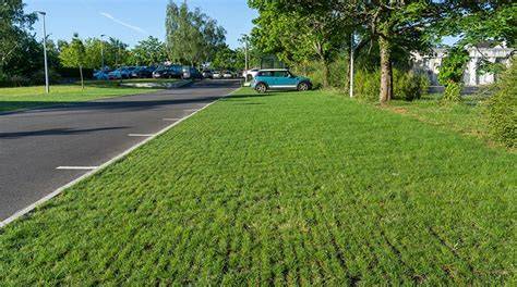Parking à Neure