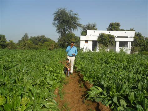 Parmar farm house