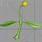 Parts-Of-A-Flower