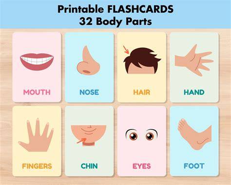 Parts Of The Body Flashcards Printable