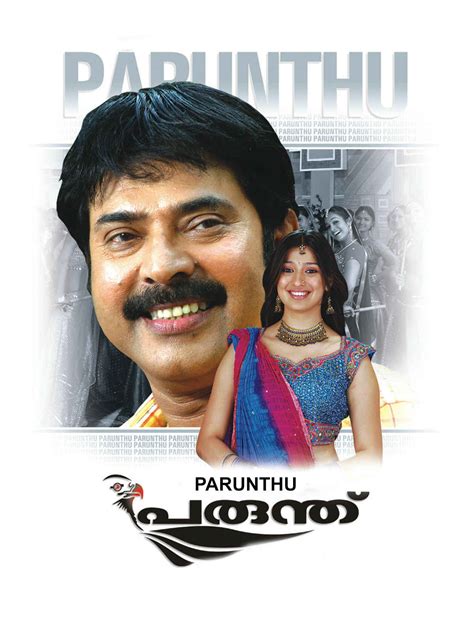 Parunthu (2008) film online,M. Padmakumar,Mammootty,Raai Laxmi,Jayasurya,Cochin Hanifa