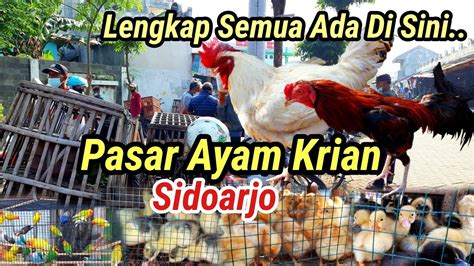 Pasar Ayam Besar Indonesia
