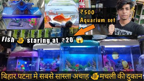 Patna Aquariums House
