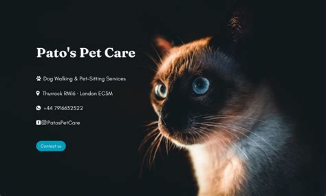 Pato's Pet Care