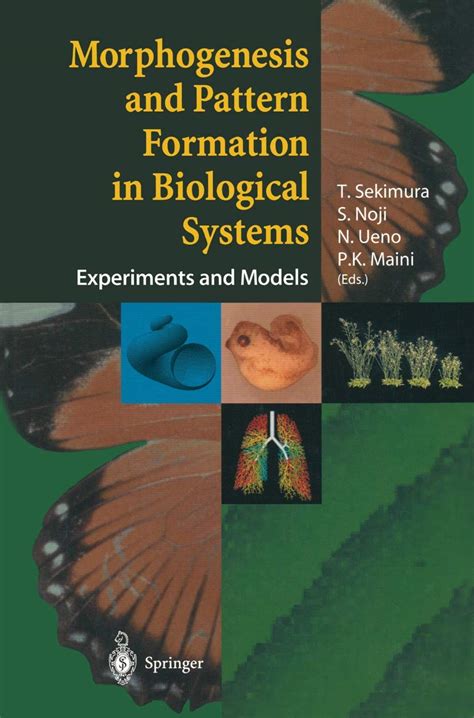 download Pattern Formation in Morphogenesis